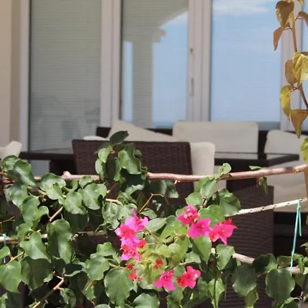 Belvedere Bilo 3*